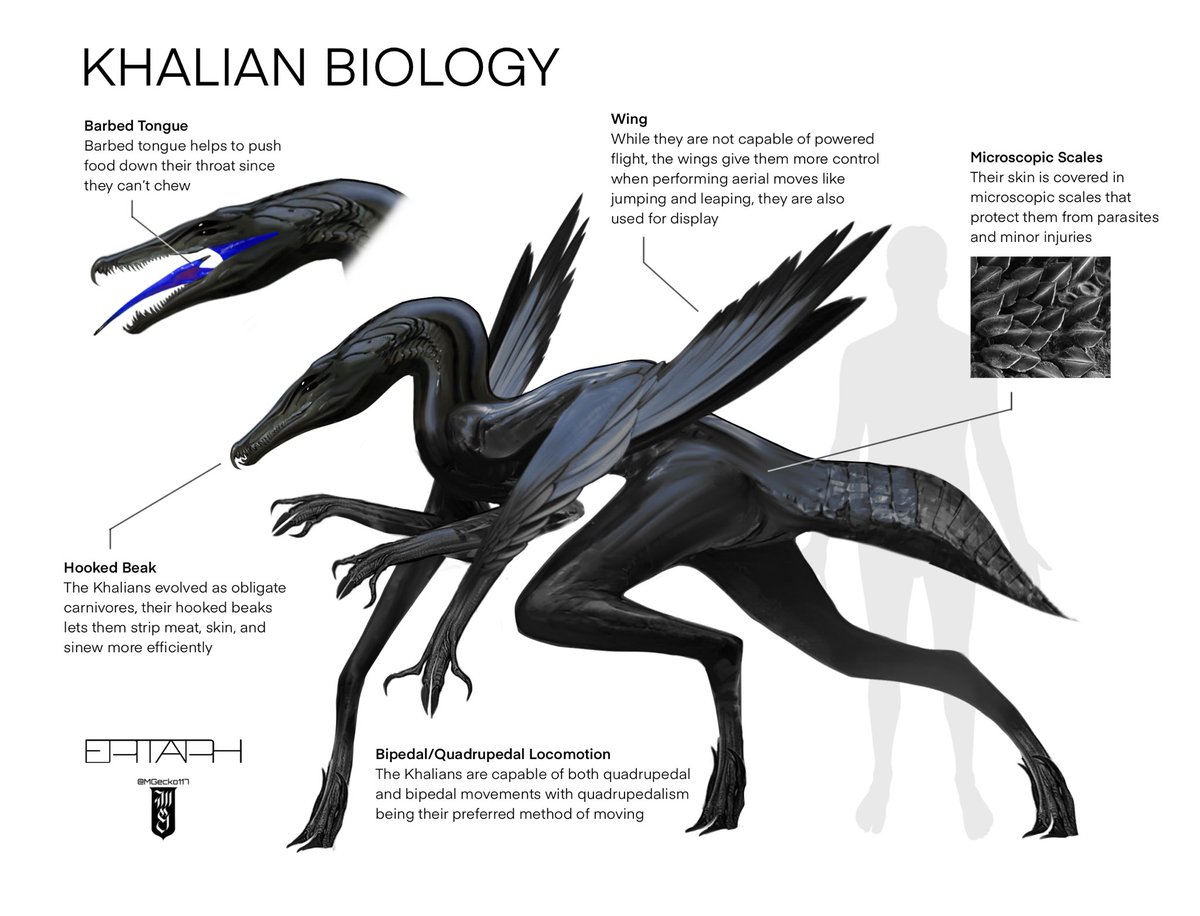 Breakdown of Khalian biology, there’s a lot of information and details I couldn’t fit onto a single page so feel free to ask me any questions you have about them