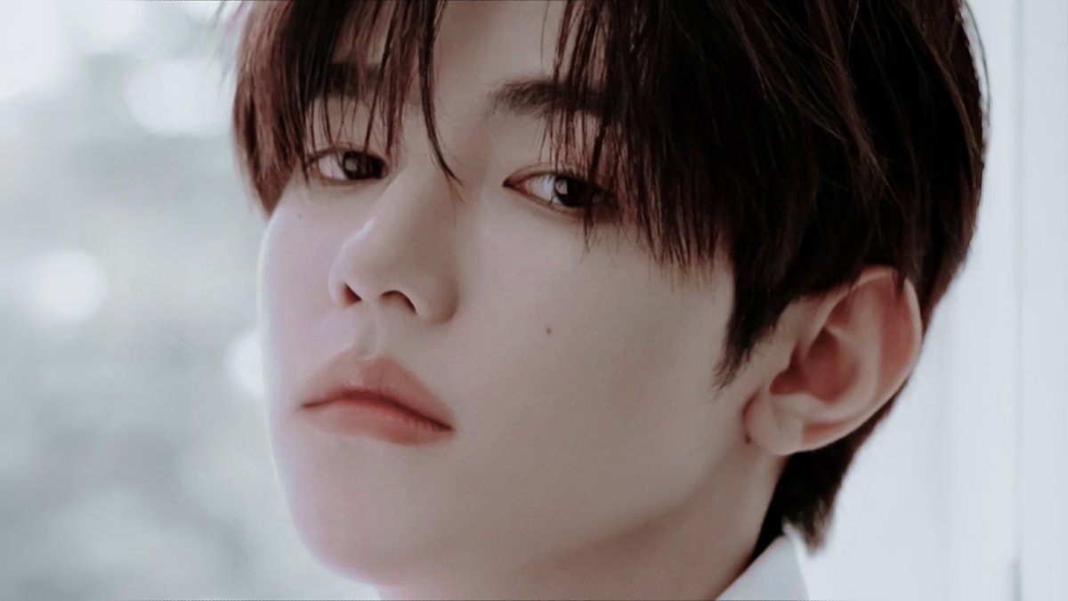 ilieslilies's tweet image. ⠀⠀