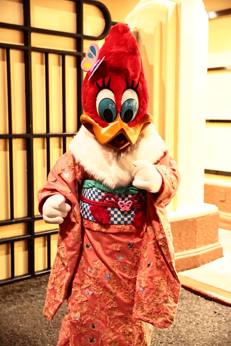 ひよこ様 Amazon.co.jp: Aurora World 8818チカディーひよこぬいぐるみ、5