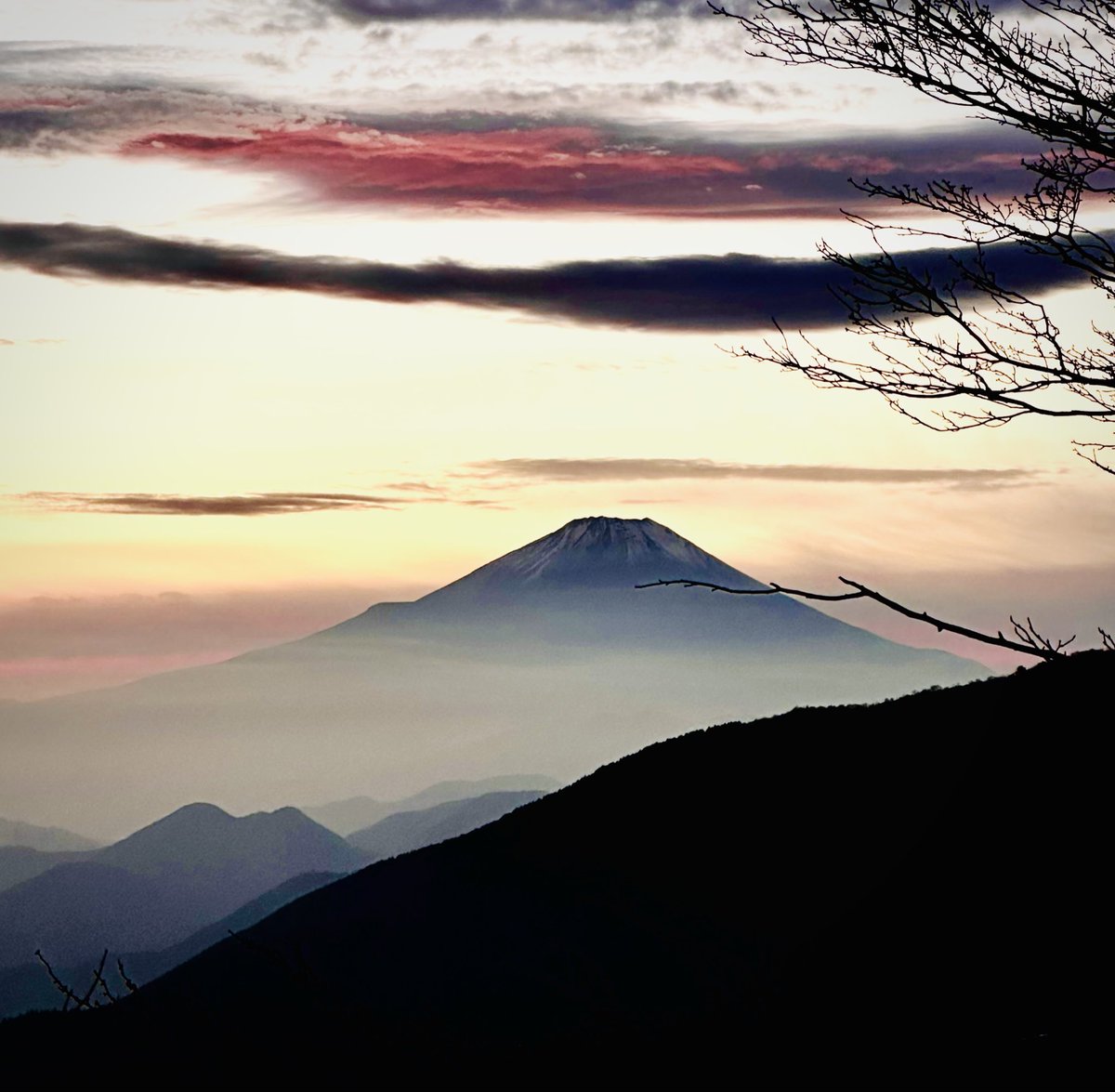 ishinn223's tweet photo. 🗻あけましておめでとうございます🗻

静かな時間の中で、
はじめてのお節料理を作りました。

新しい年が、
穏やかにひらいていきますように。

🌅♥️

#おせち
#おせち料理
#おうちごはん
#料理記録
#料理写真
#食
#芸術
#富士山 https://t.co/qgn2Z4duLt