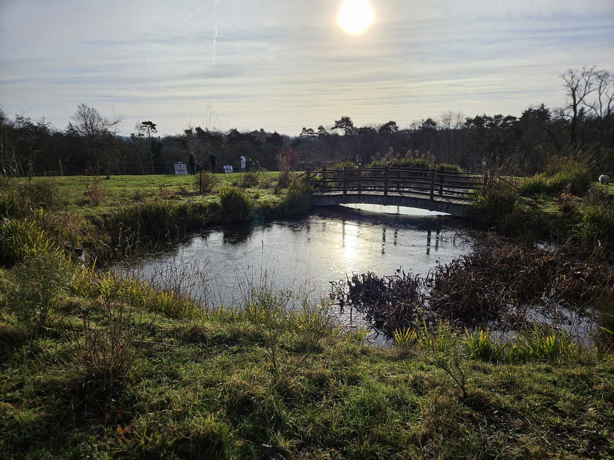 Kmbrow's tweet photo. Beautiful New Year's Day Walk @manechance. Thanks to @springmeister and everyone who make it possible. Xx https://t.co/A5807TNQOX