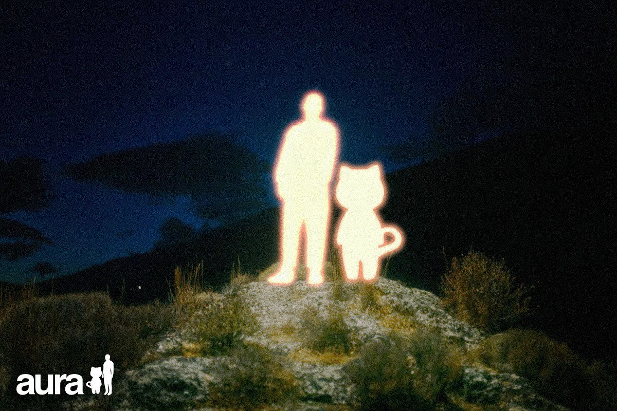 auracoinsolana's tweet image. wonderful things are about to happen ✨