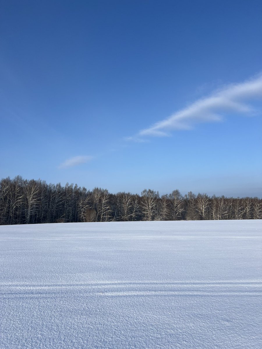 Сова_v_kedax tweet media