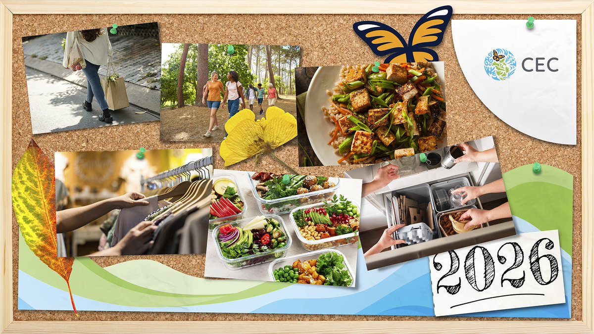 CECweb's tweet image. 💫🌝 Let’s start 2026 with actions that help to create a more sustainable future!
 
♻️🥤 Swap single-use plastics for reusable bottles, containers &amp;amp;amp; bags
🗑️♻️ Sort your recyclables correctly &amp;amp;amp; start composting
👕🛍️ Buy second hand or donate what you no longer wear