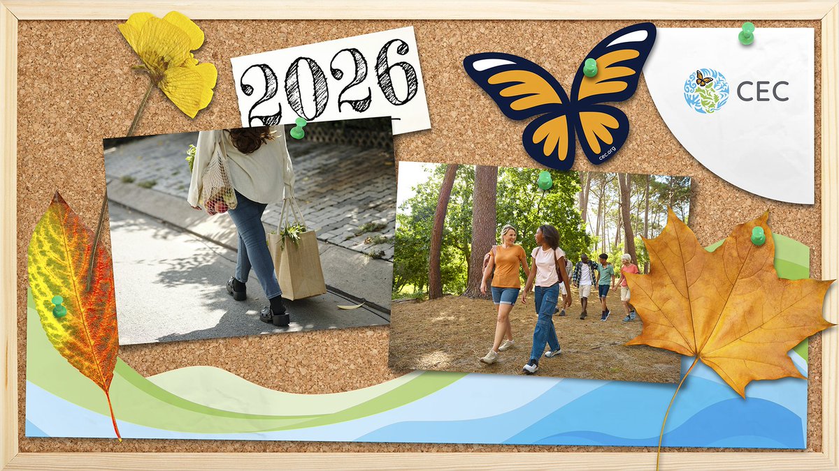 CECweb's tweet image. 💫🌝 Let’s start 2026 with actions that help to create a more sustainable future!
 
♻️🥤 Swap single-use plastics for reusable bottles, containers &amp;amp;amp; bags
🗑️♻️ Sort your recyclables correctly &amp;amp;amp; start composting
👕🛍️ Buy second hand or donate what you no longer wear