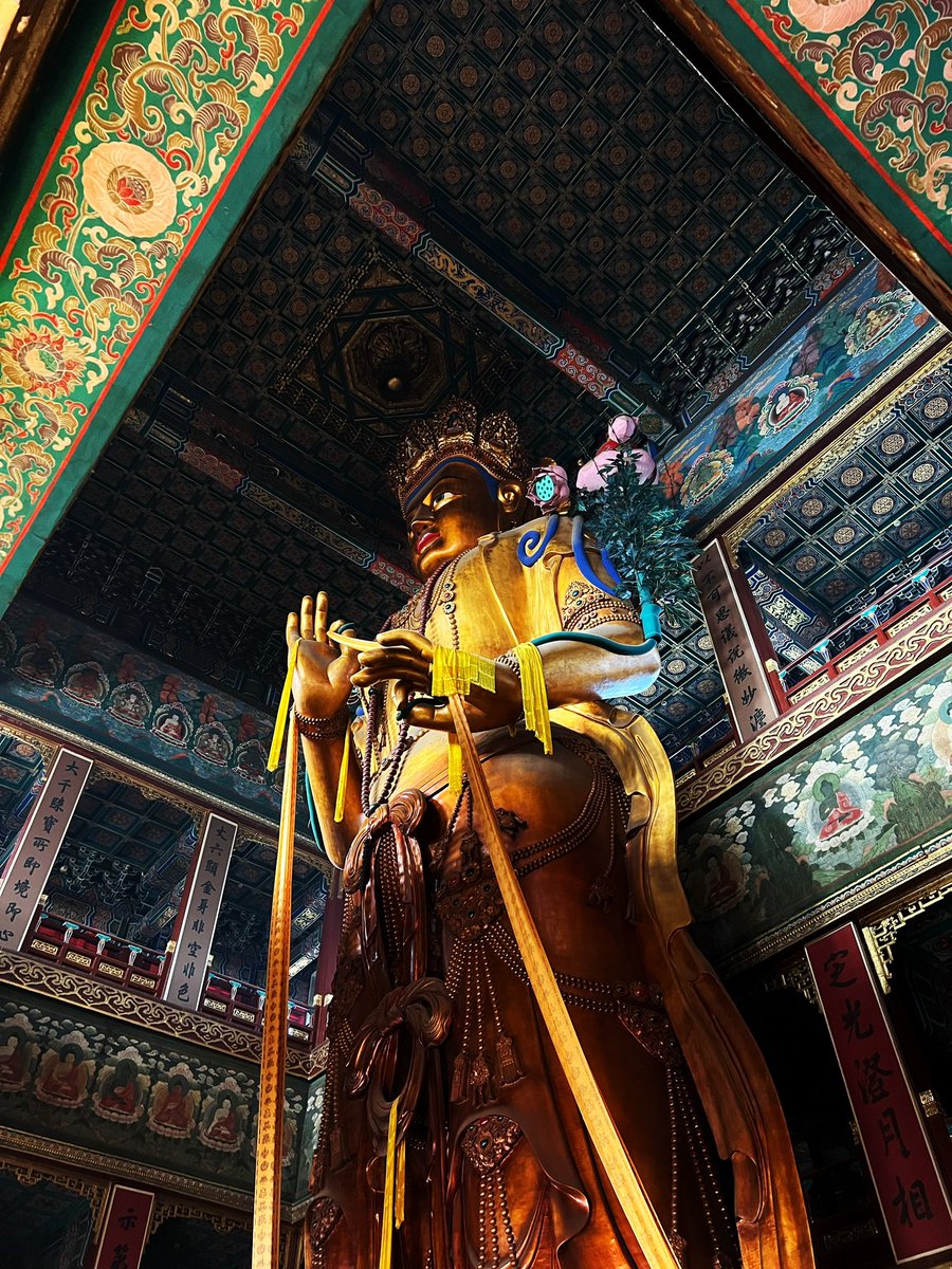 感谢蒙古族僧人替我向两百八十年前的旃檀强巴佛像献上哈达。感谢赠我一枚佛像前的供果香蕉。多年前我第一次见到这尊圣像后写过：“嘉瓦强巴是藏人对未来弥勒佛的尊称。我抬首仰望,看见一尊非常高的金色佛像惊人地美丽，正是七世达赖喇嘛赠予乾隆皇帝的印度白檀巨木，蒙古五世察罕仁波切负责造像。…山不