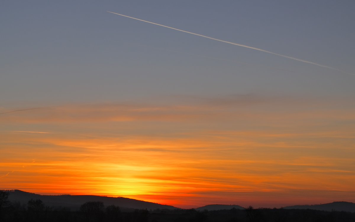 Stephen Tushingham tweet media