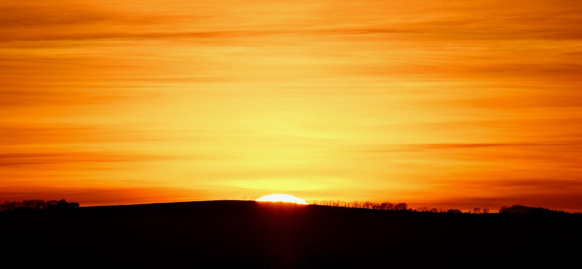 Stephen Tushingham tweet media