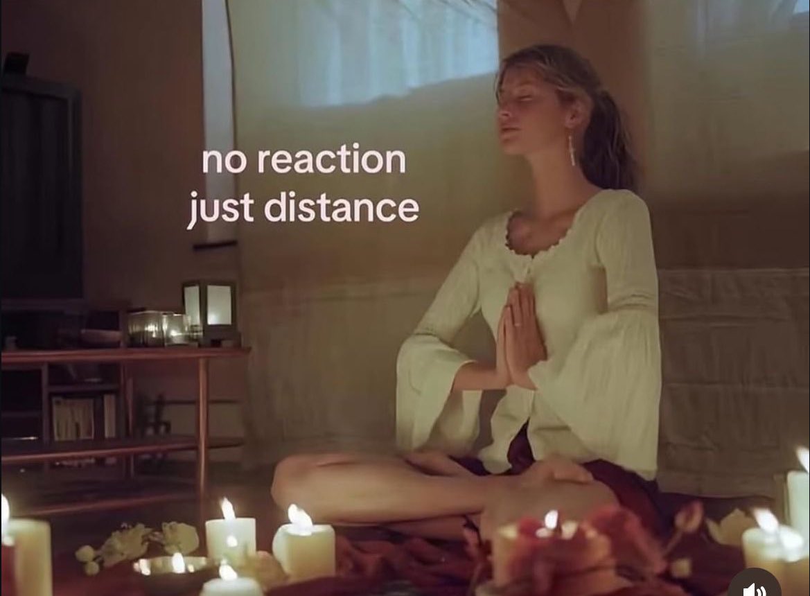 maybeeevirgo's tweet image. 