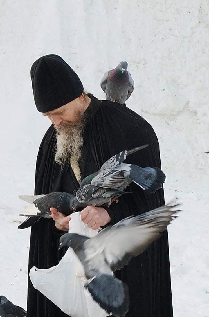 "Ако можеш помоћи човеку – помози, ако не можеш помоћи – помоли се, ако не умеш да се молиш – онда помисли добро о том човеку. И то ће већ бити помоћ, зато што су светле мисли – такође оружје."

Свети владика Николај