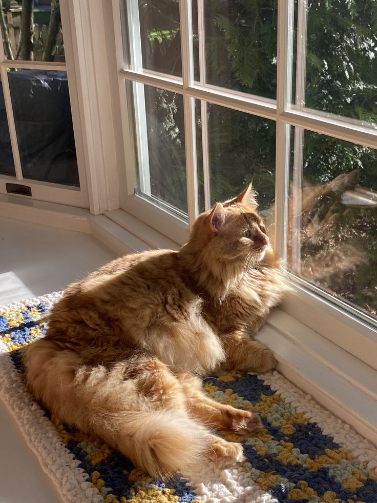 𓂃 ࣪˖☥  lidos 2026. ༉‧˚.

❝never trust anyone who has not brought a book with them.❞