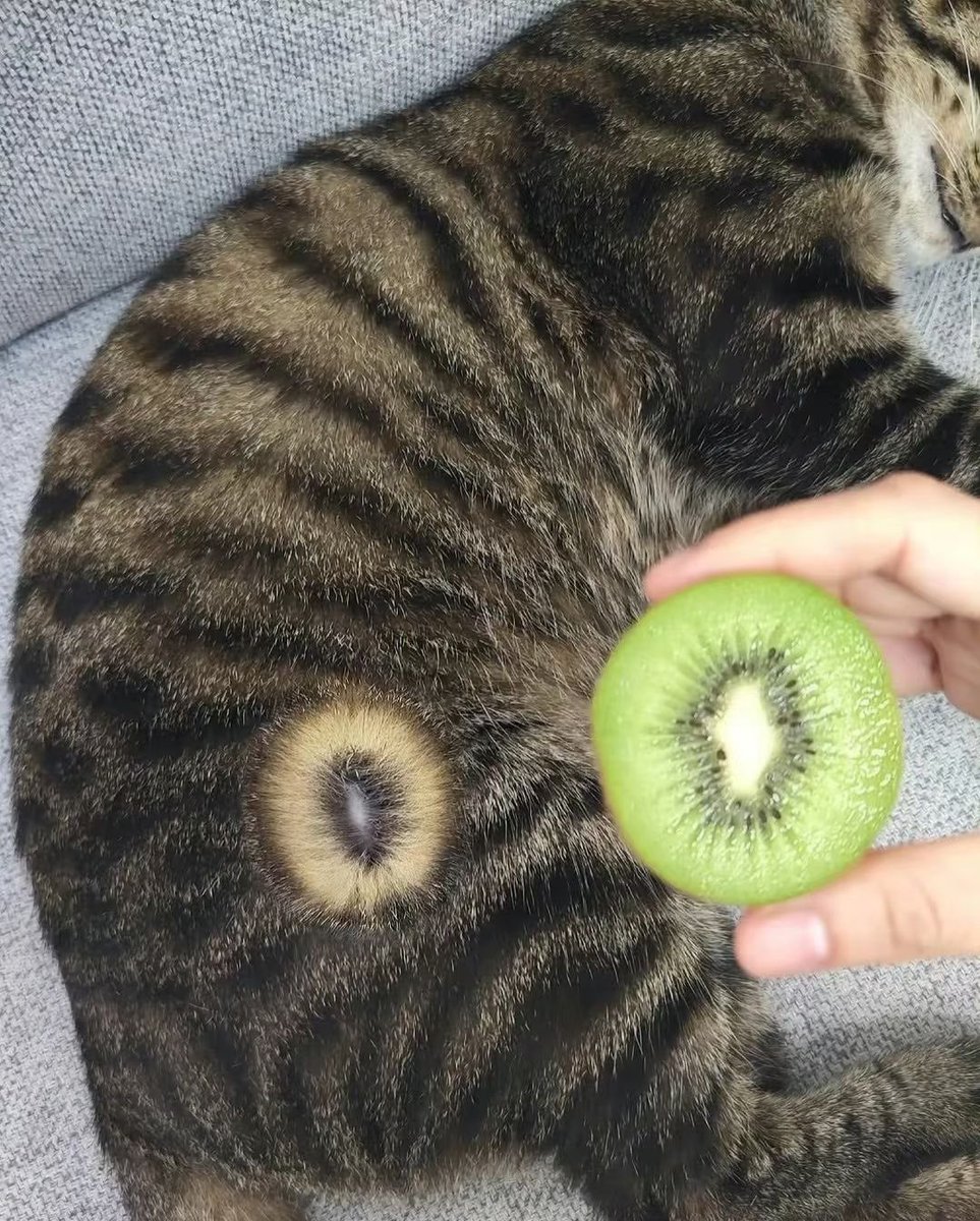 itsD3lay🐧 (@itsd3lay) on Twitter photo 