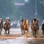 Photo by Thoroughbred Racing Initiative (@TBRacingInit)