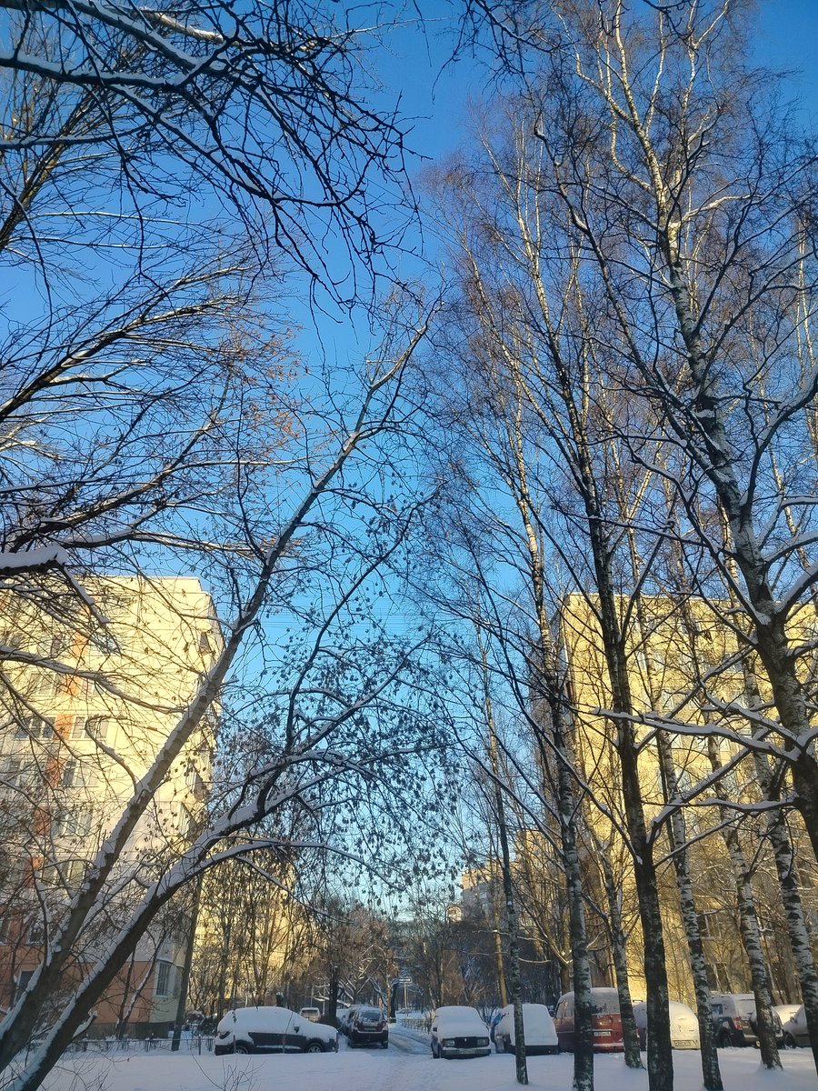 scarlet_plague's tweet photo. Город первого января тих, пуст, светел и полон предвкушения чего-то. https://t.co/nCvDuSJ6XV