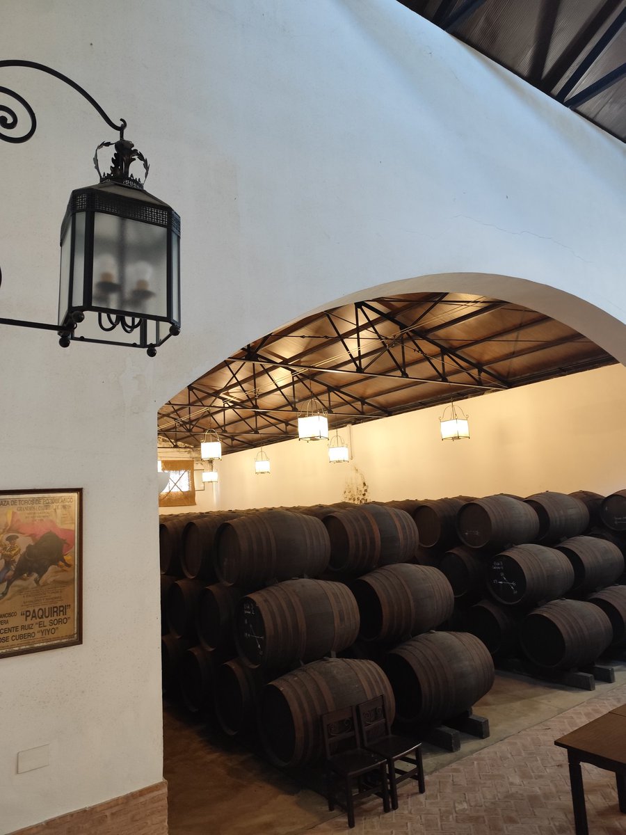 MariadelAmorRM's tweet photo. Cooperativa La Unión, Montilla (Córdoba)
#HappyNewYear2026 https://t.co/fjjPsIlH1k