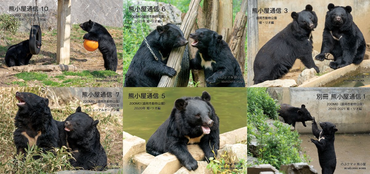 のぶクマ🐻羆と香辛料 (@kumar0001) / Posts / X