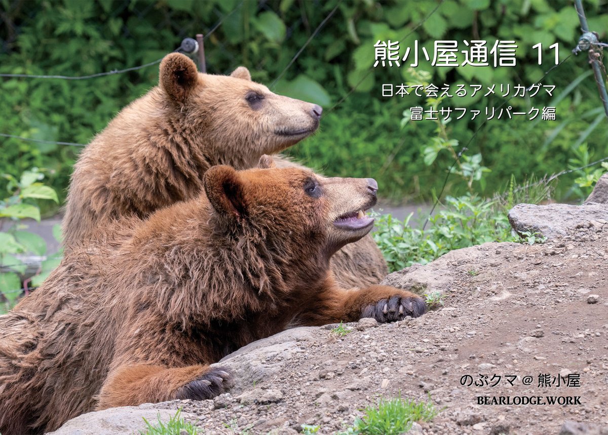 のぶクマ🐻羆と香辛料 (@kumar0001) / Posts / X