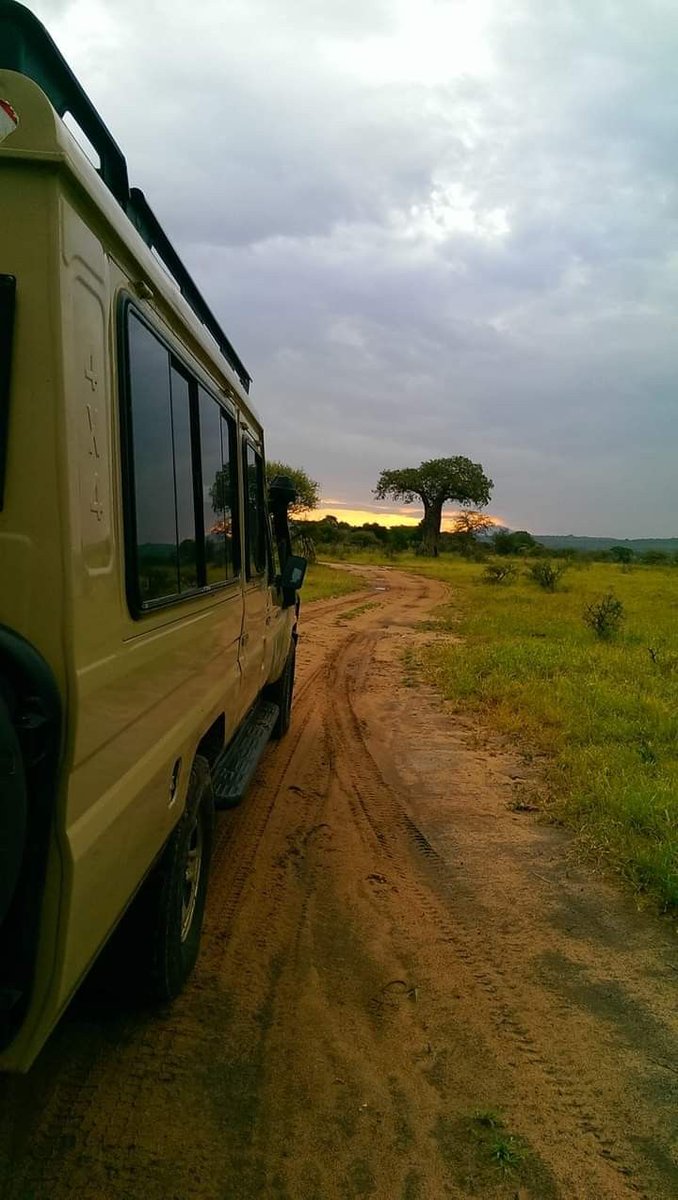 wt_lambert's tweet photo. Thanks to all who have joined us this year on the largest safari vehicle. 

We are excited about what we had in 2025 and what 2026 has in store. Be sure to join us in 2026 when we do it all again!

See ya'll
#youShouldBeHere #travelIsTherapeutic @VilakaziU
https://t.co/tfiVNCQfbk https://t.co/Fxq5hIUo6C