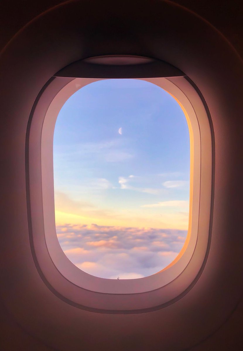 ImperatorIV's tweet image. キャンプを明日続ける 🍬