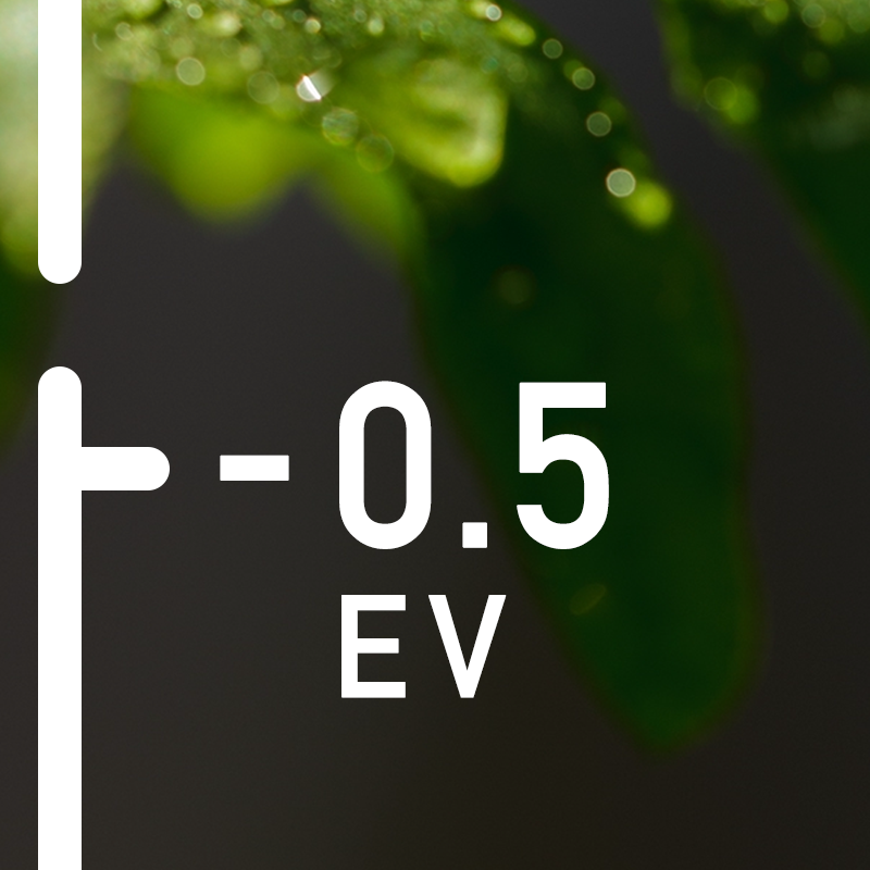 Camera M - Pro Manual Camera tweet media