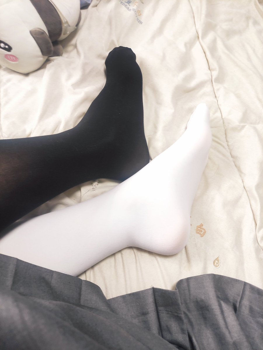 替身使者の铃兰 tweet media