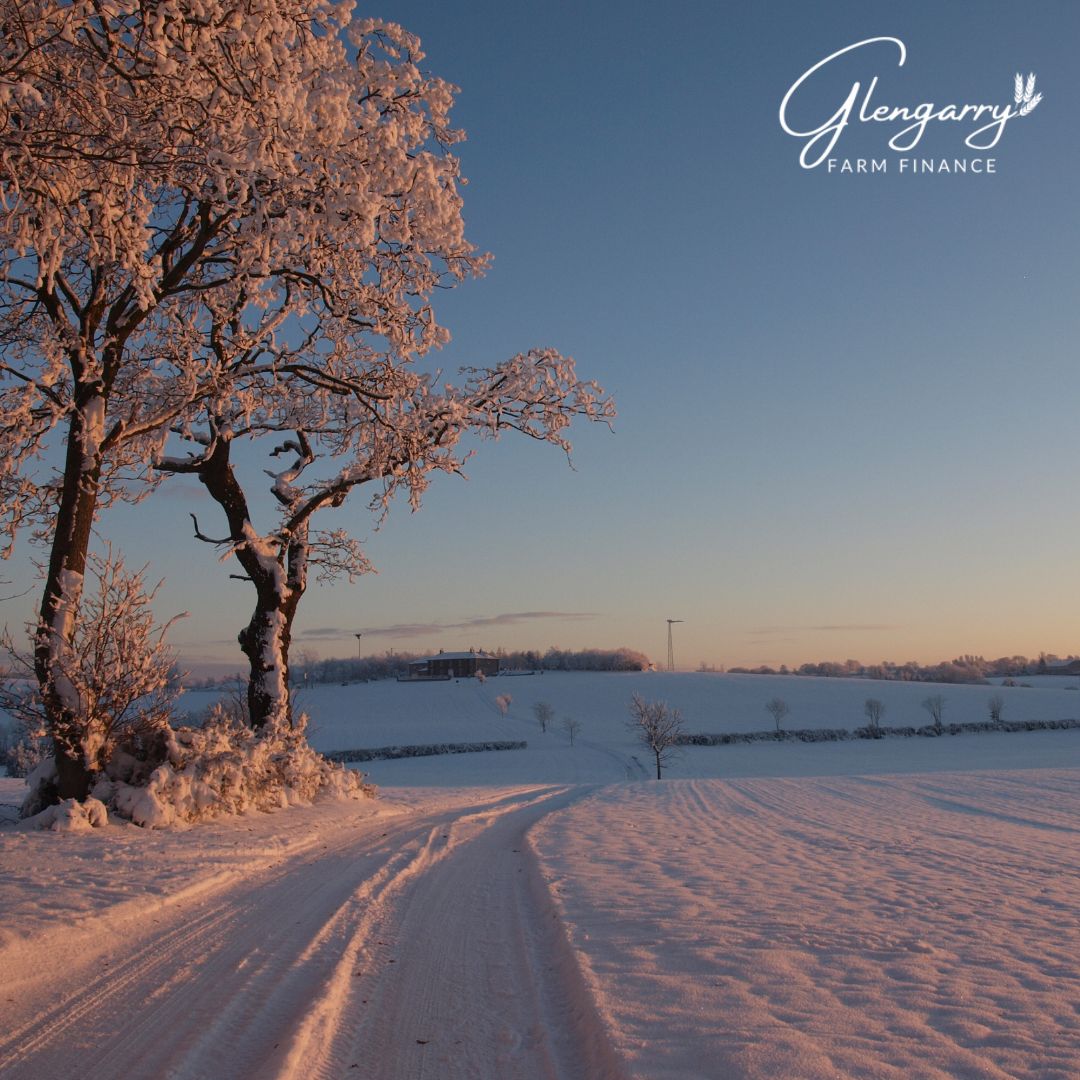 glengarryfarm's tweet photo. Happy New Year! 🌟 Looking forward to a year of new opportunities, stronger partnerships, and continued growth across Canadian agriculture. We can’t wait to see what 2026 brings. https://t.co/dRP6k6WrRO