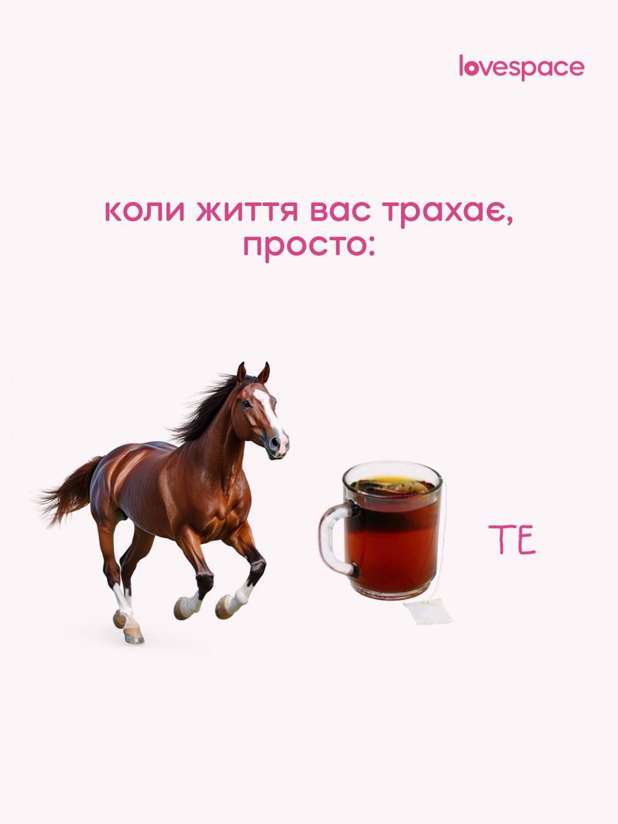 перша новорічна мудрість 2026-го року☝🏻