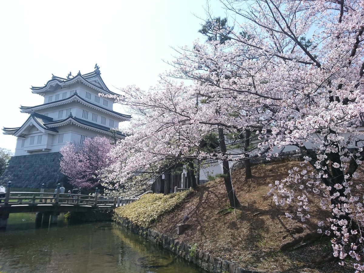【3/29(日)コスプラ忍城・埼玉県行田市】 
和風のお城と桜の名所の公園で桜イベント開催！

公園芝生エリアではキッチンカーやマーケット等の別イベントが開催。コスプレでの利用もOKです。

チケット：本日 21時販売開始
#コスプラ #コスプラ忍城