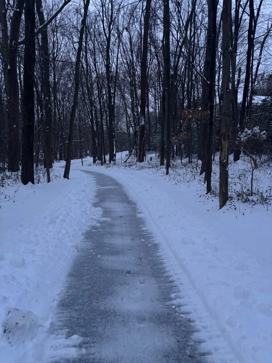 There’s no better way to start the new year than by getting outside and exploring the beauty of Reston. Join us for our First Day Hike and make January 1 a day of connection—with nature, with neighbors, and with your own sense of adventure.

#Reston #FirstHike