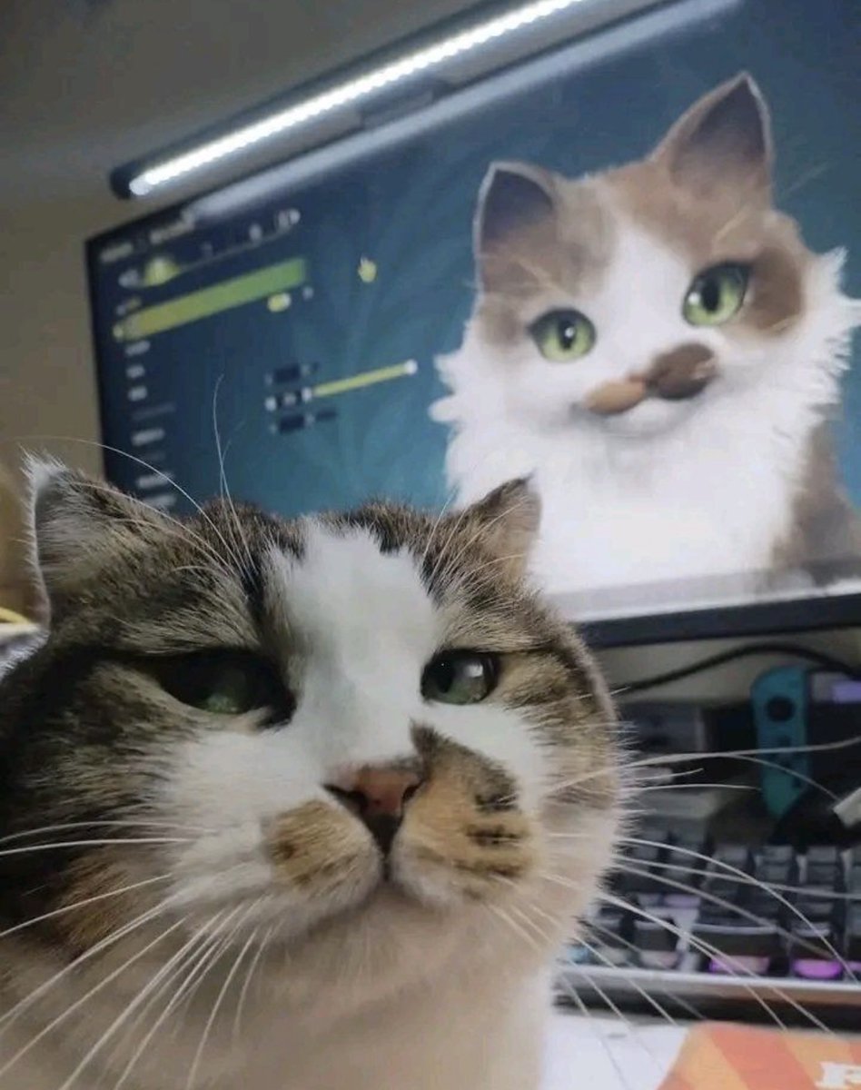 contents that ll heal your depression 🌻 (@catshealdeprsn) on Twitter photo 