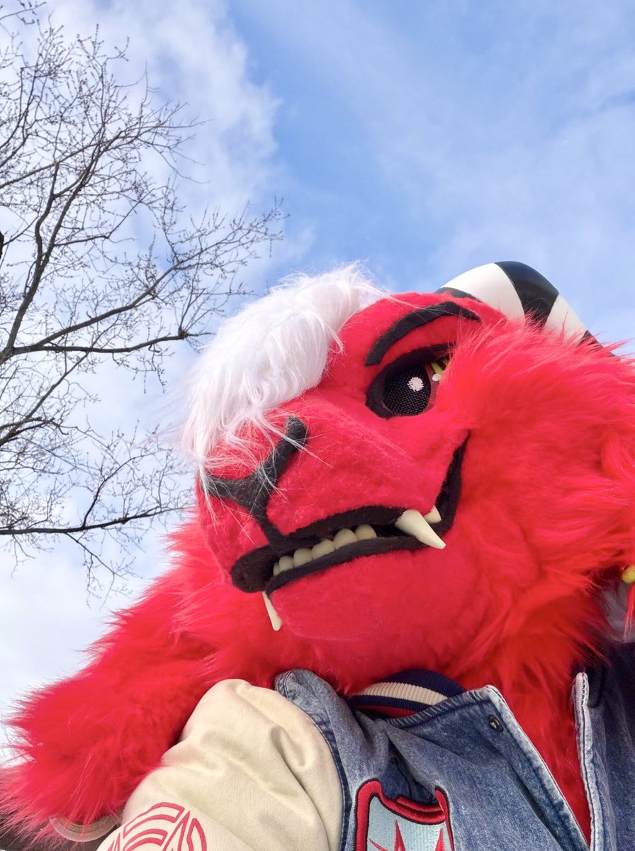 Cavvy Devil / Verati tweet media