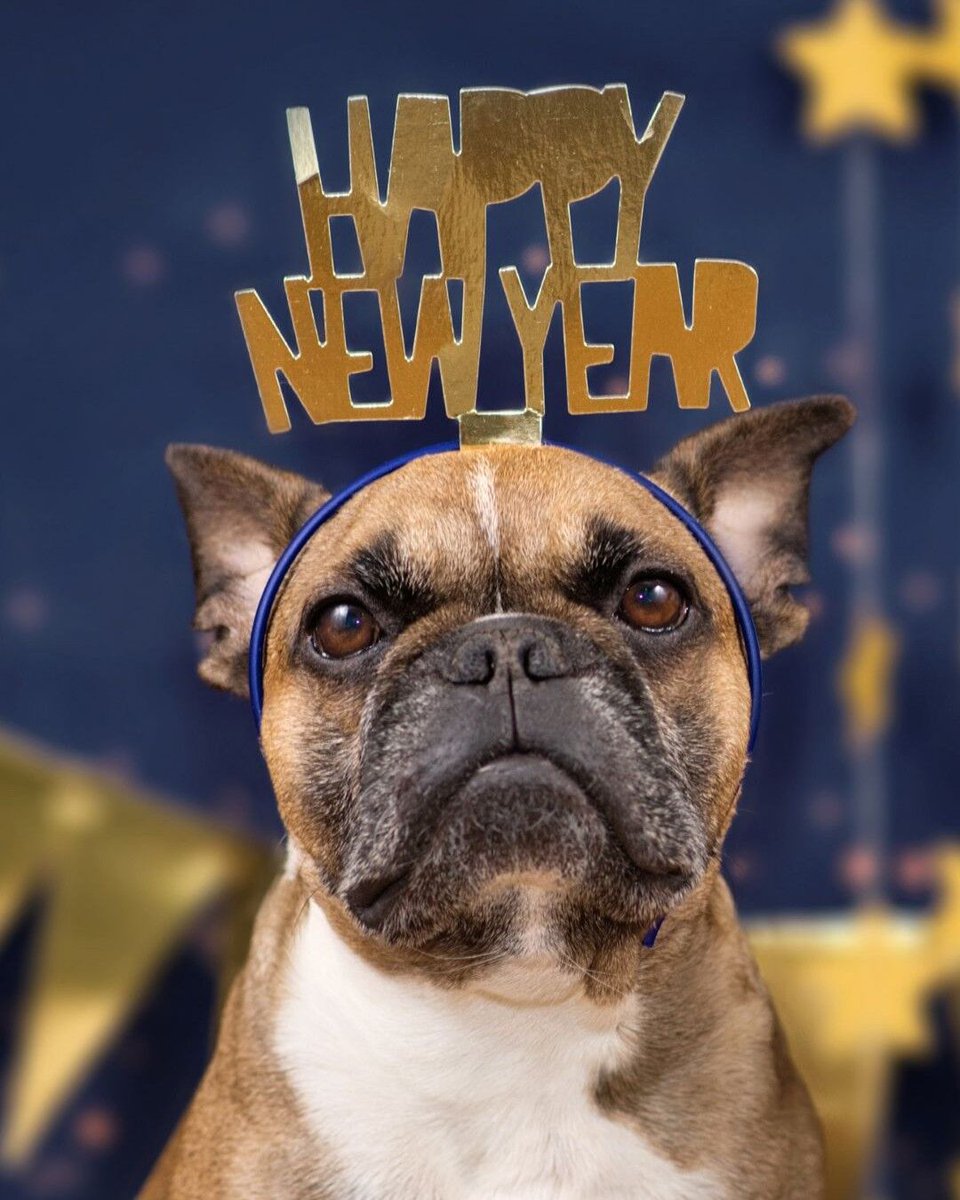 NeonNumbersLtd's tweet image. Happy New Year from the Neon Numbers crew!

Whether you rang in 2026 with fireworks, fizz, or just a very long nap (no judgement), we hope you're starting the year with fresh goals and zero missing receipts.

#NewYear #accountants #Portsmouth
seren.to/2aqpr