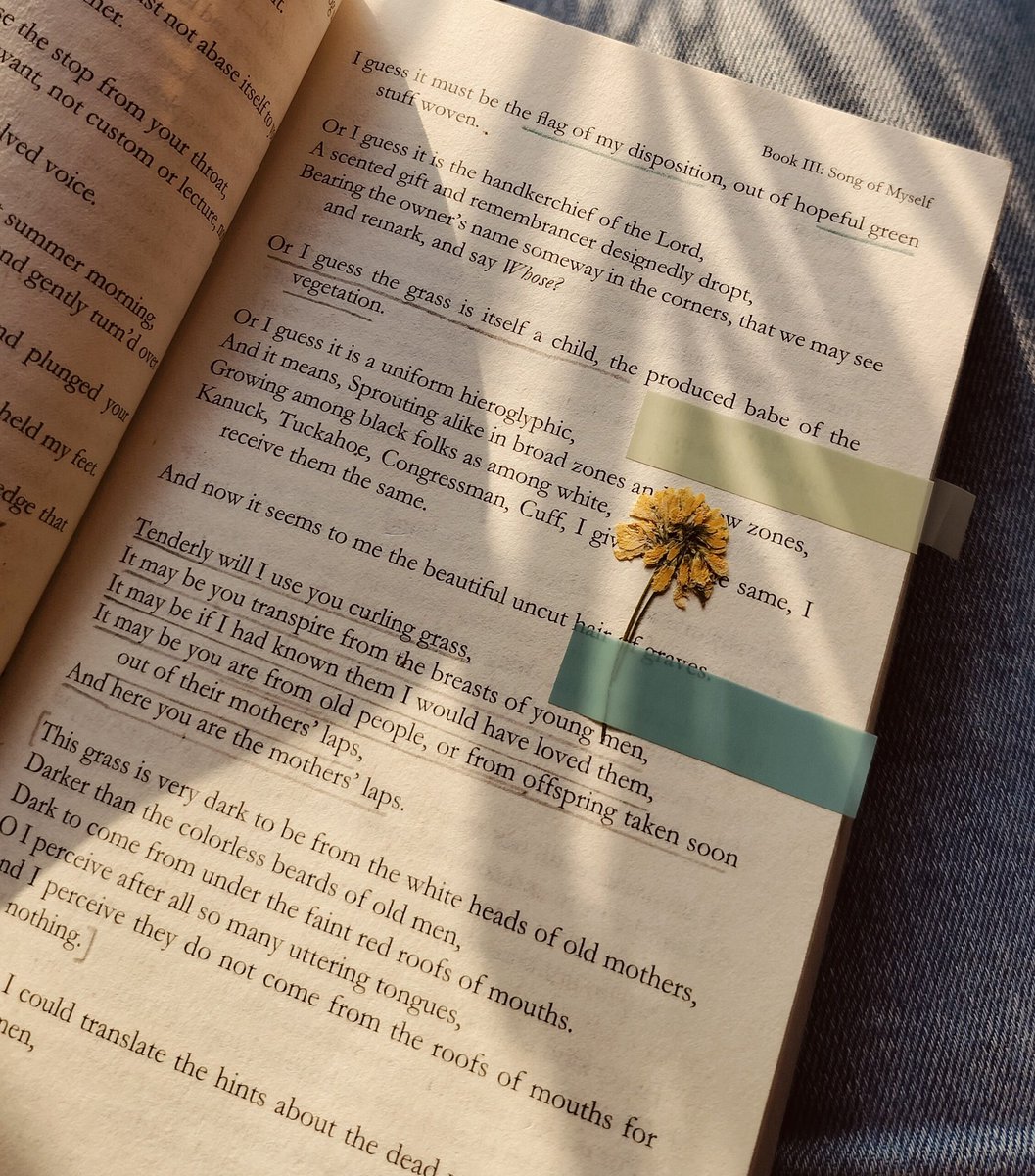 lu 📖 tweet media
