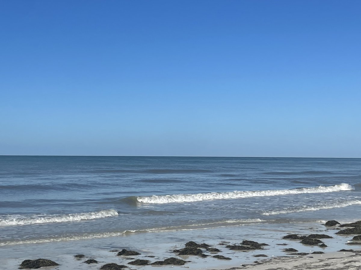 backupslider's tweet photo. Happy New Year from the Gulf of Dunedin and the New Nations Capitol https://t.co/LEJKypC94x
