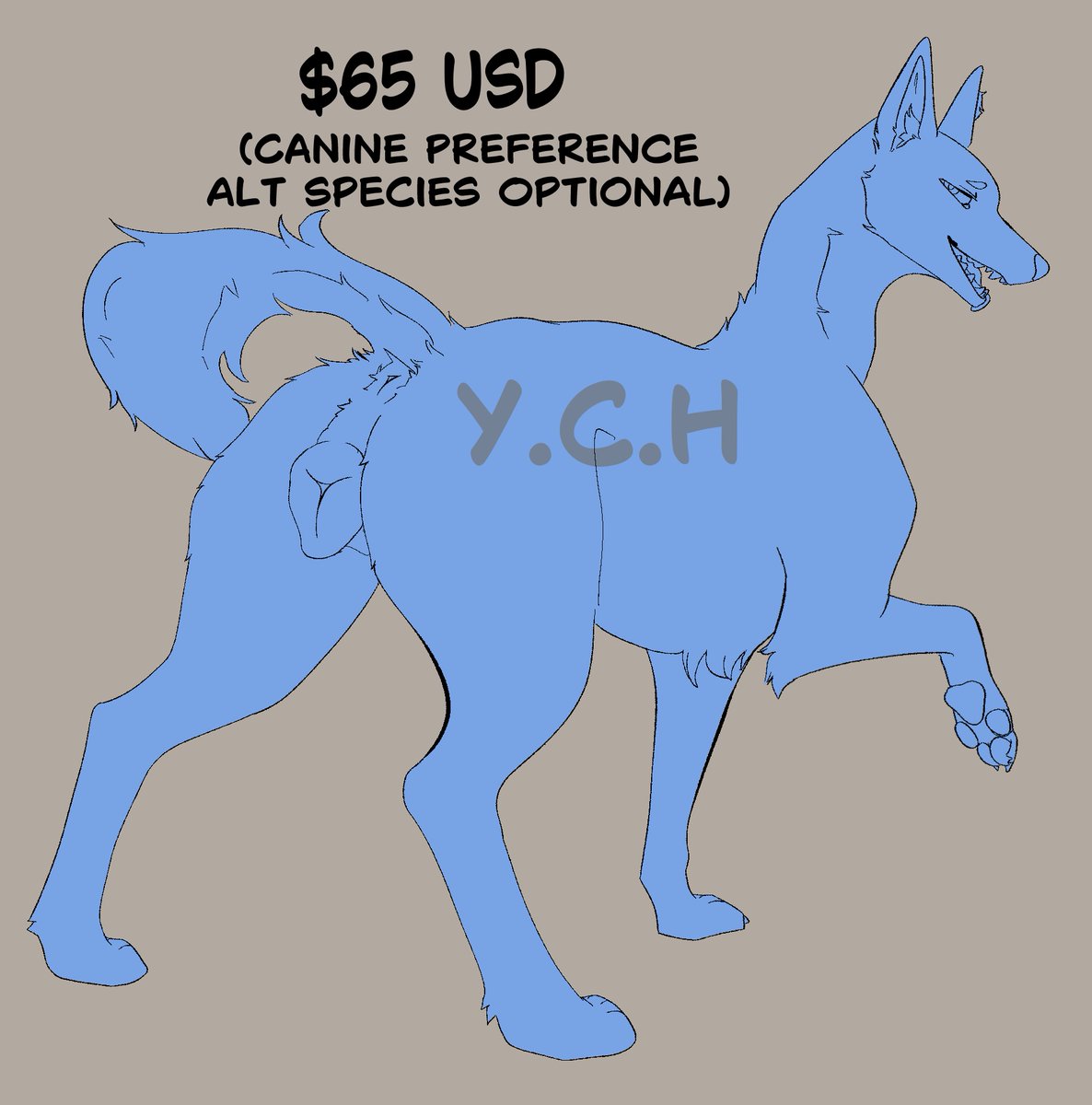 🐾🐾⤵️ tweet media