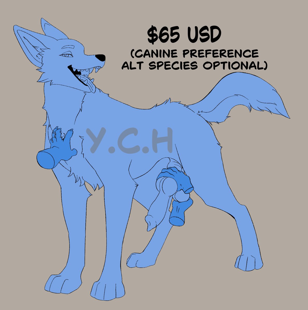 🐾🐾⤵️ tweet media