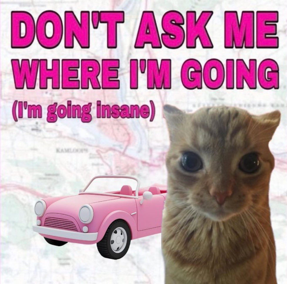 gakstercat's tweet photo. https://t.co/hHfiy1r3hD