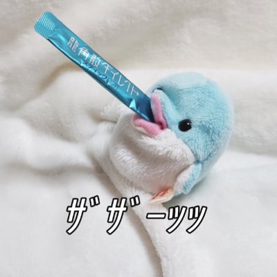 てぃみぃ tweet media