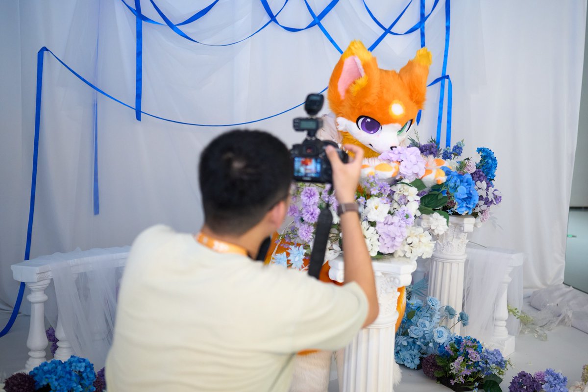 Gomeow·金桔·柠檬茶 tweet media