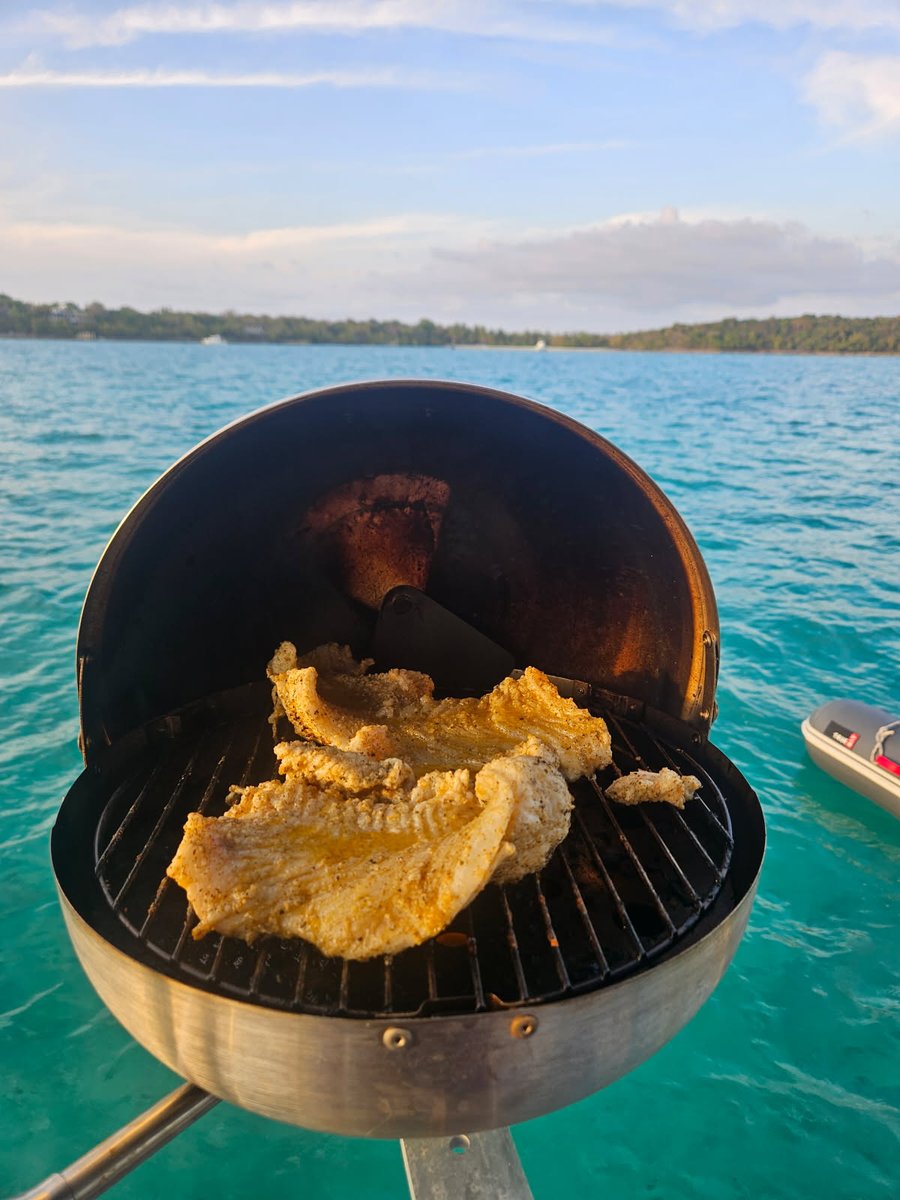 TSailingAcademy's tweet photo. New Year's Resolution #1: Eat More Seafood!
Preferably, catch eat the same day. Grilling is best. #sailing #fishing #hogfish #BeachLife #HappyNewYear2026 #grill https://t.co/8N4wA0Rzqd