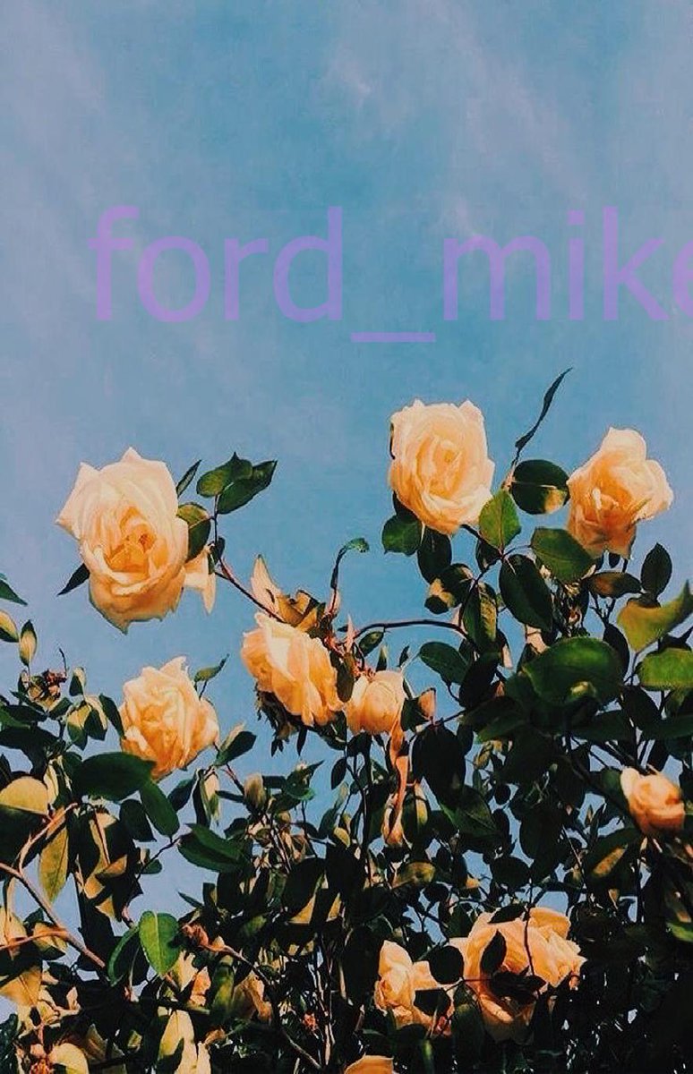 Mike Ford tweet media