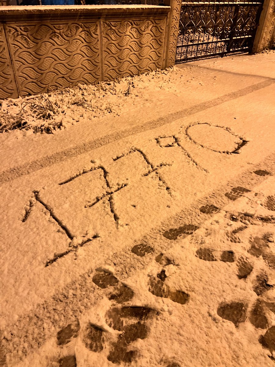 10 ayda 17.790 köpek nasıl öldü? <a href="/ankarabbld/">Ankara Büyükşehir</a>