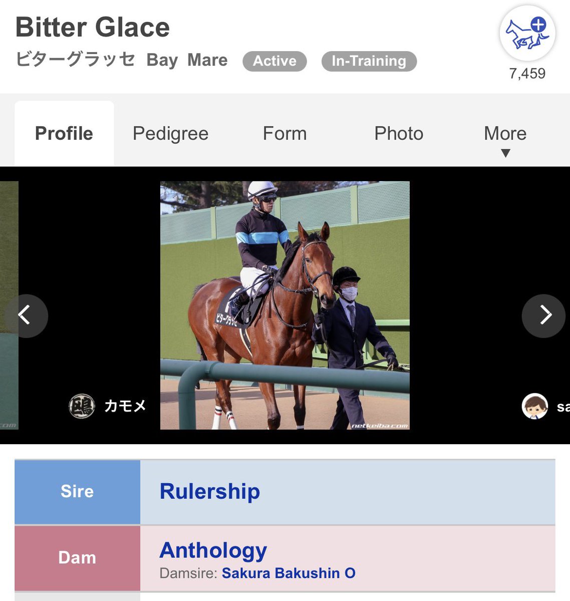 wp3qhjwap's tweet photo. Bitter Glace is also an active racehorse, so please support him. https://t.co/7ekPHoUoD1
