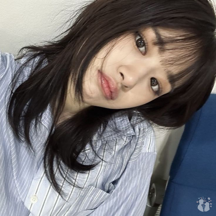 bxghouse's tweet photo. bxg! drop sn si cantik ini donggg, thankyouuu ❤️ https://t.co/v9BzxQ6Tsj