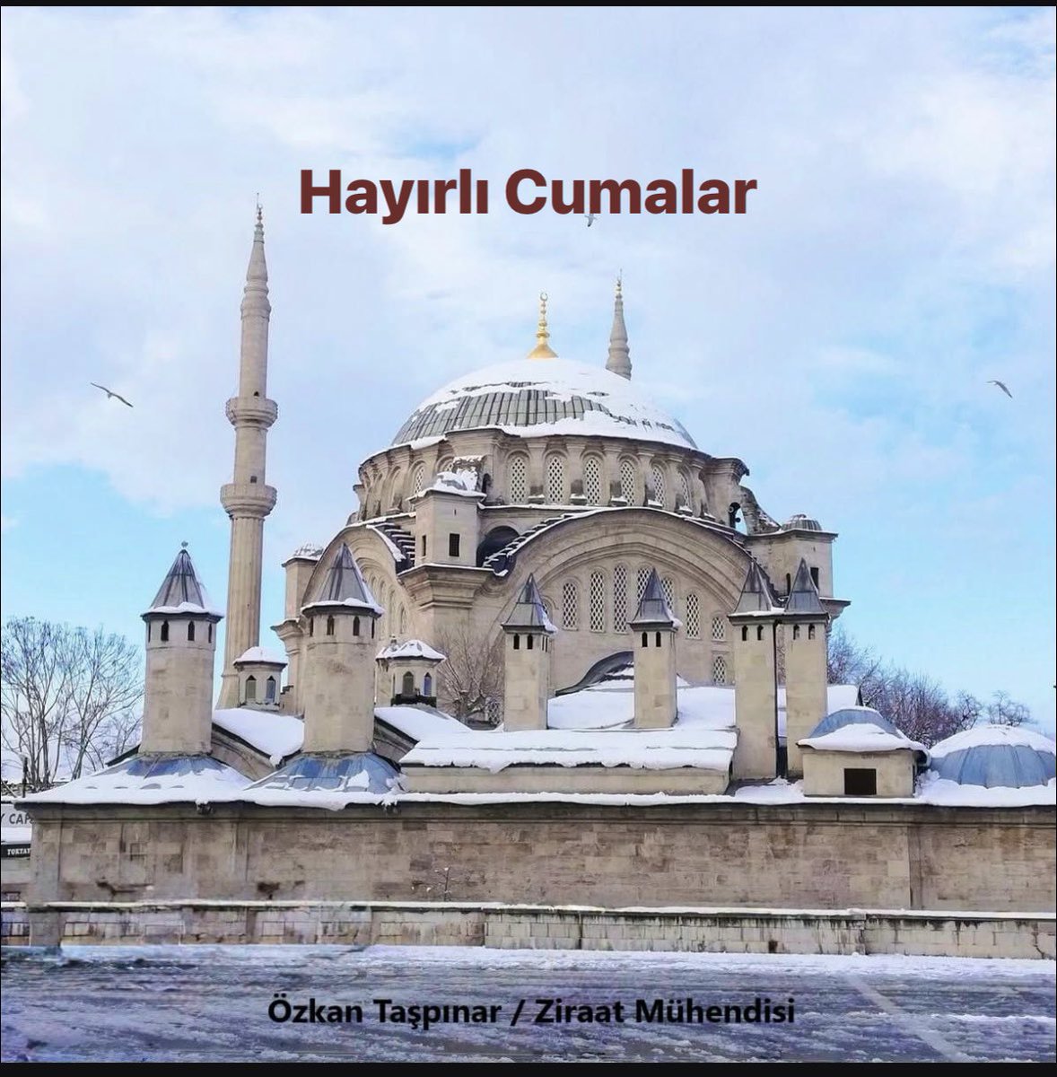 Allah'ım, cuma gününün feyzinden, hayr ve bereketinden bizleri ziyâdesiyle hissedar eylesin.
Affına, merhametine, sevgisine, rızasına cümlemizi mazhar eylesin.
Dua ile kalınız. Hayırlı Cumalar..