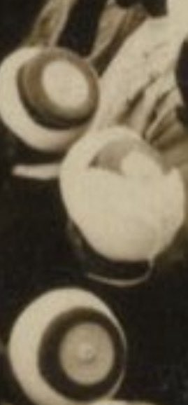 Rashid Mohd. tweet media