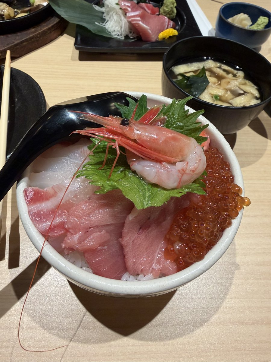 ぱんちゃん✨ ぱんちゃん7戦ぶり見事なKO勝利 「行かないと勝てないので行きました