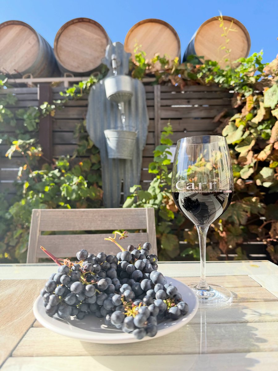 Happy New Year from all of us at Carr Winery 🎉 

Here's to great wine and moments worth savoring in 2026! We can't wait to see what this year brings and we're excited for you to be with us 🍷

#carrwinery #wine #newyear #2026 #santabarbara #winery
