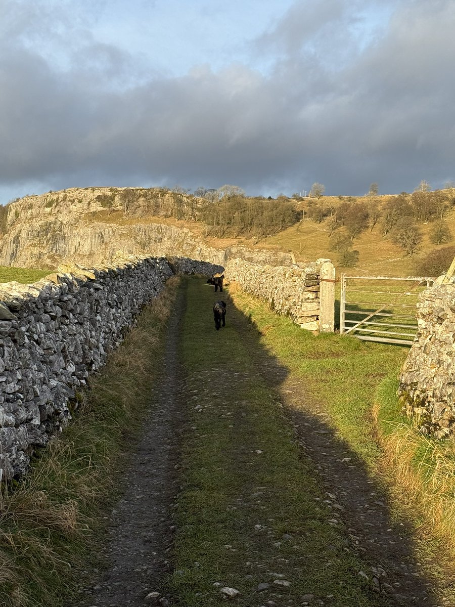 Sunny start to 2026, Langcliffe