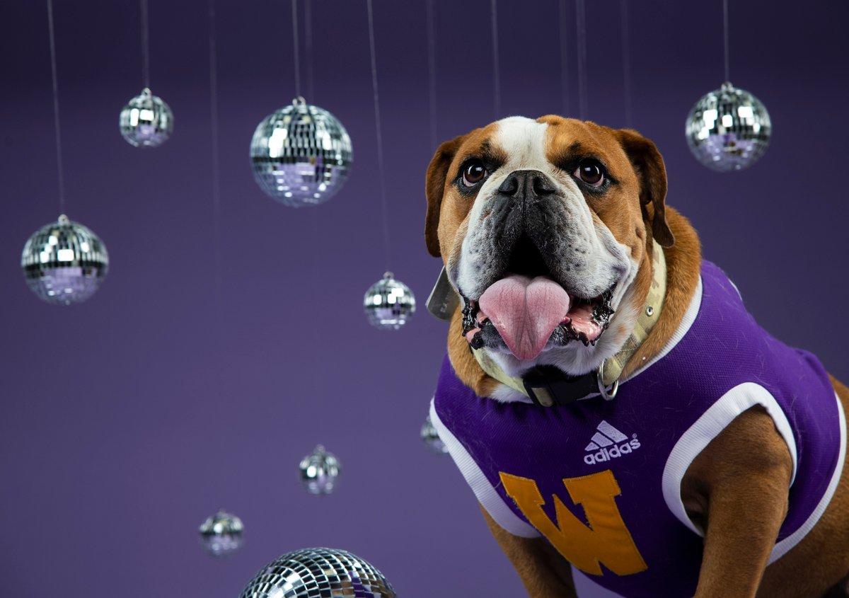 WesternILUniv's tweet image. Happy New Year, Leathernecks! A new year means new goals, fresh motivation, and endless opportunity. ✨ Here’s to growth, strength, and Purple &amp;amp; Gold energy all year long. 💜💛